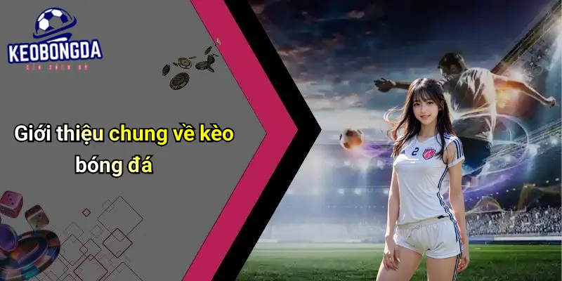 Kèo bóng đá 67 Kèo Bóng Đá