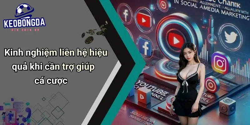Liên hệ 4 Liên Hệ