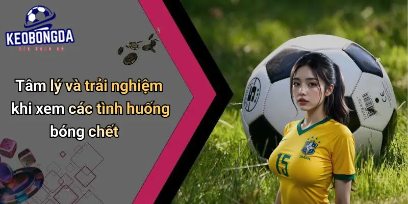 Bóng Chết Là Gì? Phân Tích Ảnh Hưởng Đến Kèo Bóng Đá 4 Bóng Chết Là Gì?