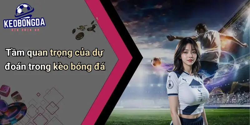 Dự Đoán 1 Dự Đoán
