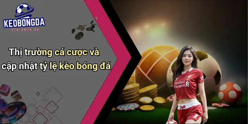 Tin Tức Bóng Đá