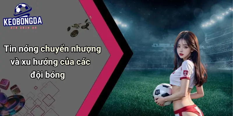 Tin Tức Bóng Đá