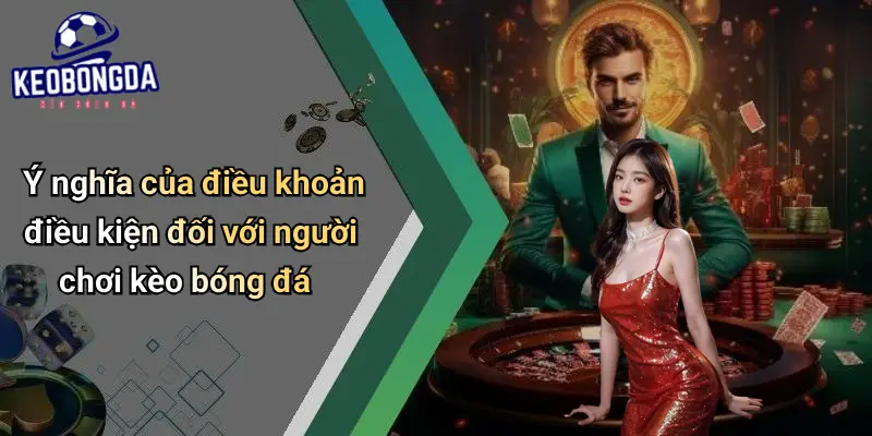 Điều khoản điều kiện 1 Điều Khoản Điều Kiện