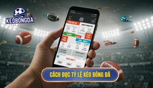 Cách đọc tỷ lệ kèo bóng đá