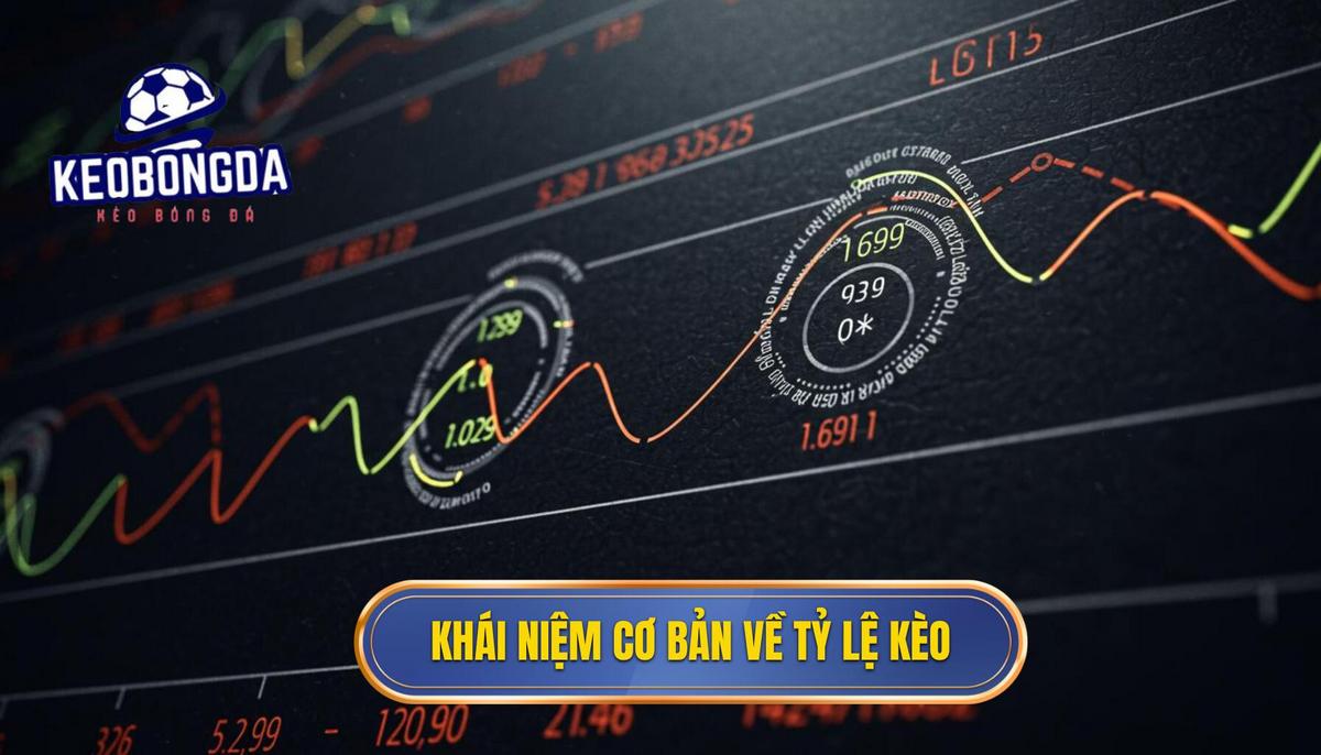 Cách Đọc Tỷ Lệ Kèo Bóng Đá Chuẩn Xác: Hướng Dẫn Chi Tiết Từ A đến Z 1 Phần 1_ Khái Niệm Cơ Bản Về Tỷ Lệ Kèo Bóng Đá (Odds)