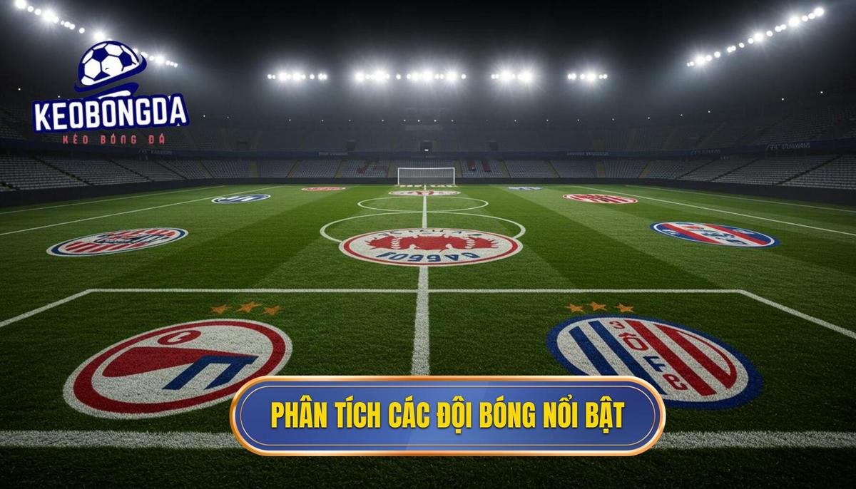 Bảng Xếp Hạng Bundesliga 2025: Phân Tích Chuyên Sâu, Dự Đoán Đỉnh Cao 2 Phần II_ Phân Tích Chuyên Sâu Các Đội Bóng Nổi Bật