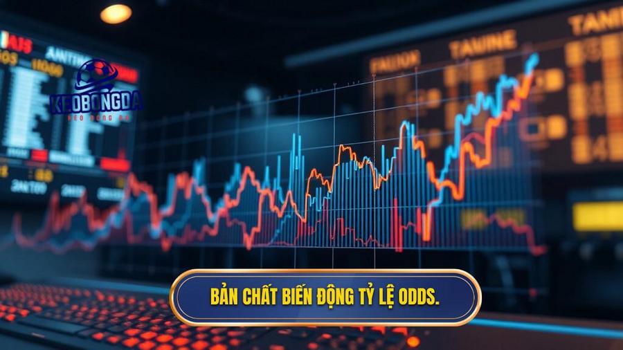 1. Bản chất biến động tỷ lệ odds.