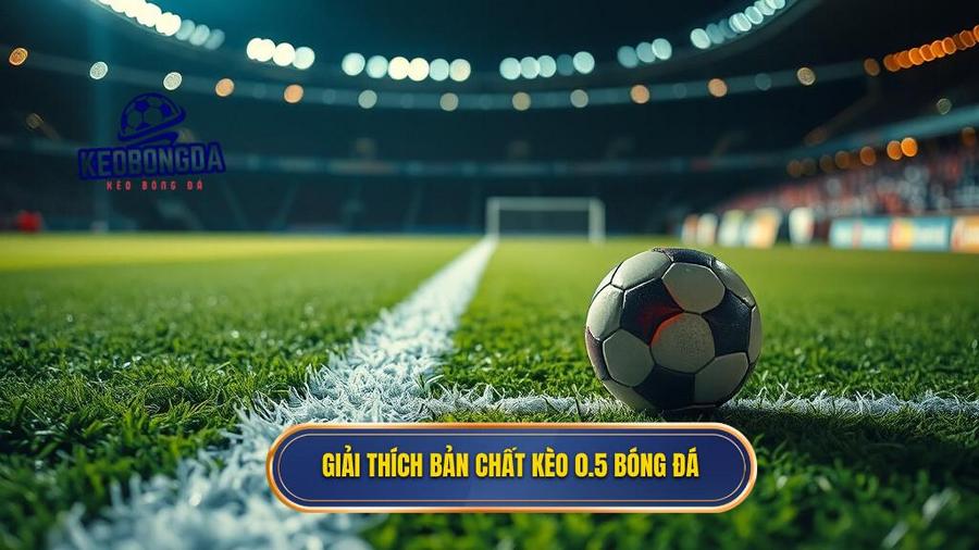 1. Giải thích bản chất kèo 0.5 bóng đá