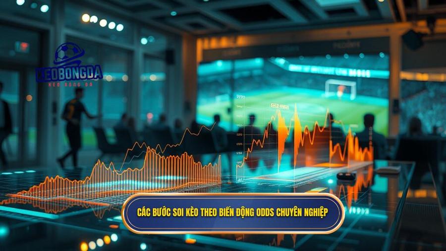 2. Các bước soi kèo theo biến động odds chuyên nghiệp
