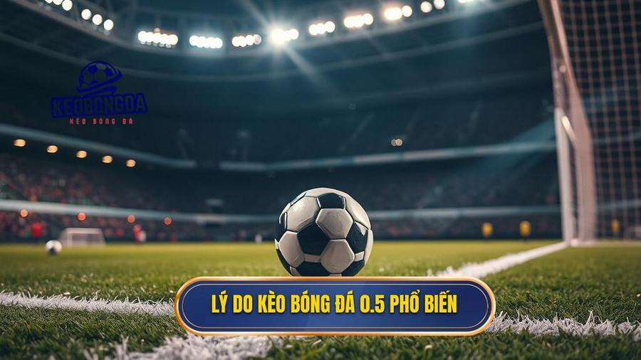 2. Lý do kèo bóng đá 0.5 phổ biến