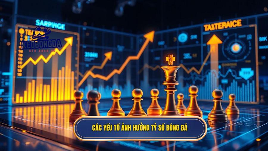 Các yếu tố then chốt ảnh hưởng đến kết quả tỷ số
