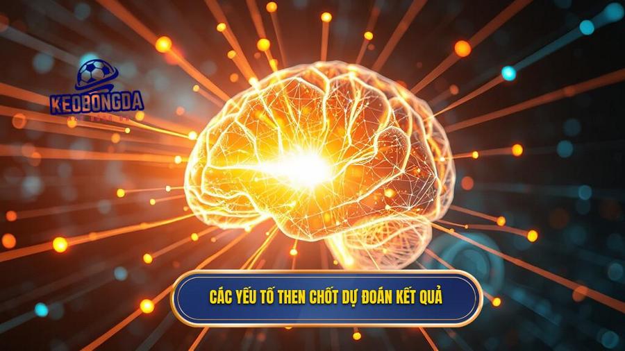 Các yếu tố then chốt ảnh hưởng đến kết quả dự đoán