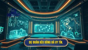dự đoán kèo bóng đá