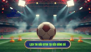 Lịch thi đấu đội tuyển Việt Nam mới nhất